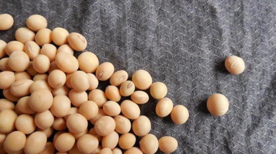 Can A Healthy Diet Include Soy?